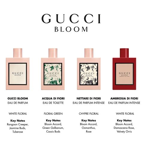 gucci ambrosia di fiori price|Gucci bloom smells like.